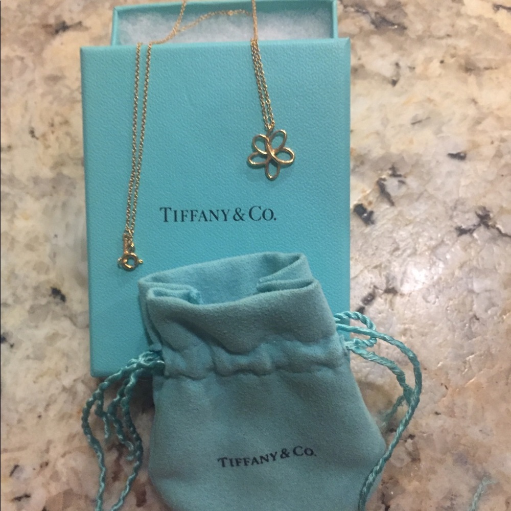 Tiffany&Co Villa Paloma Pendant Necklace